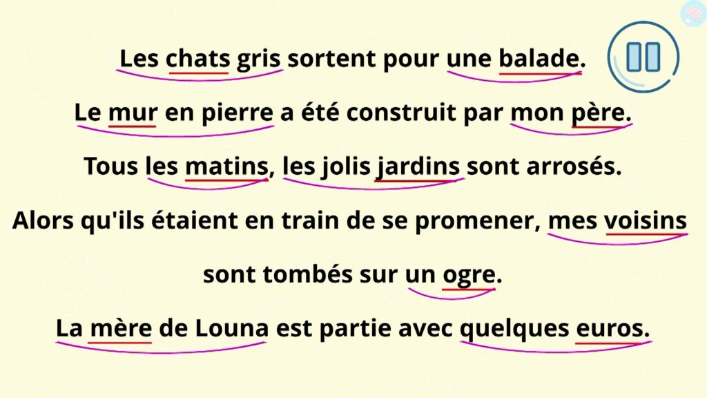 Exercices le groupe nominal cm1 cm2