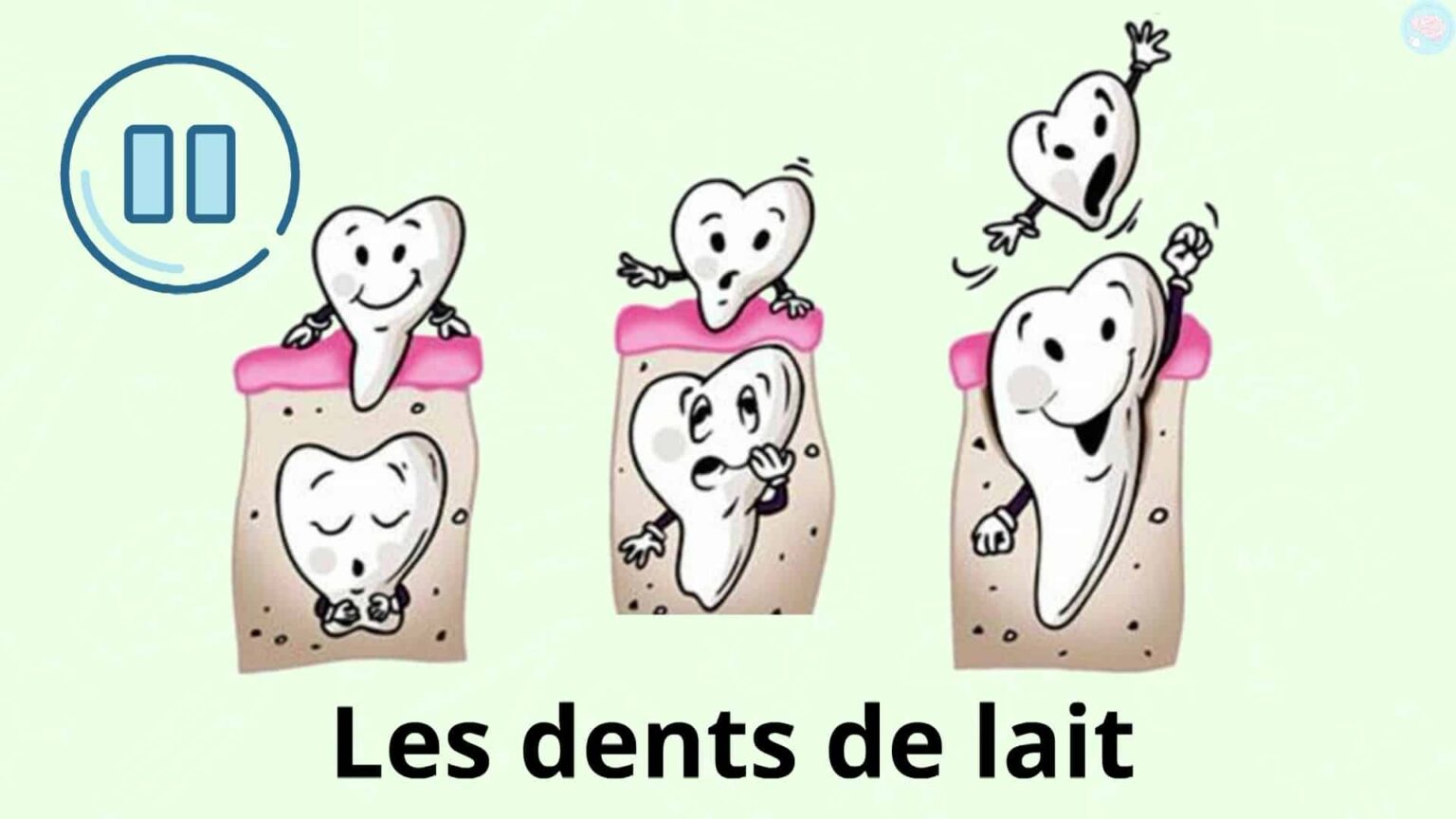 Les dents, comment en prendre soin ? CP CE1 CE2 Maître Lucas — free download