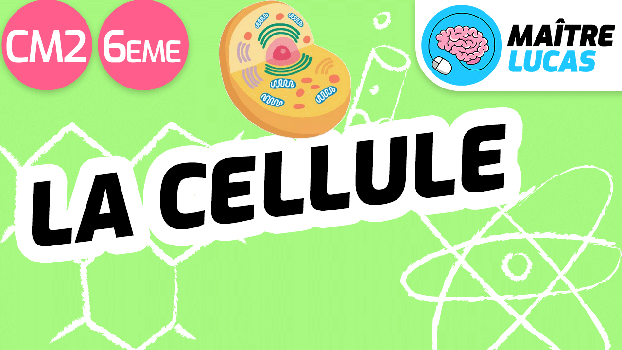 Leçon la cellule CM2