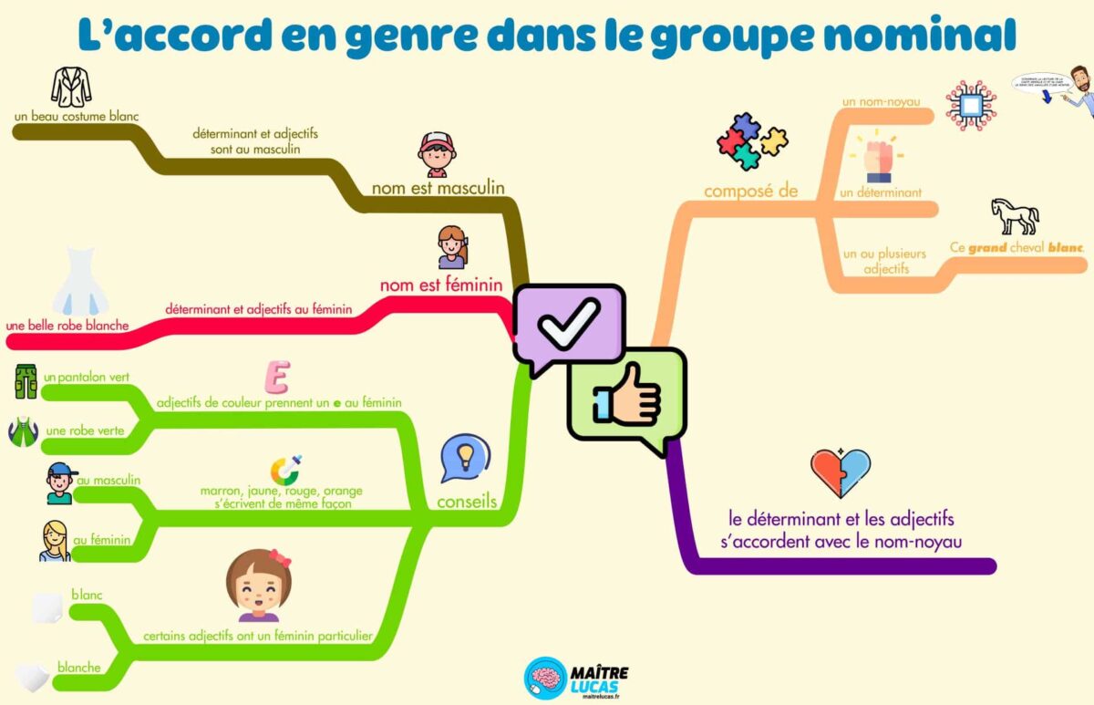 Accord Dans Le Groupe Nominal Cm1