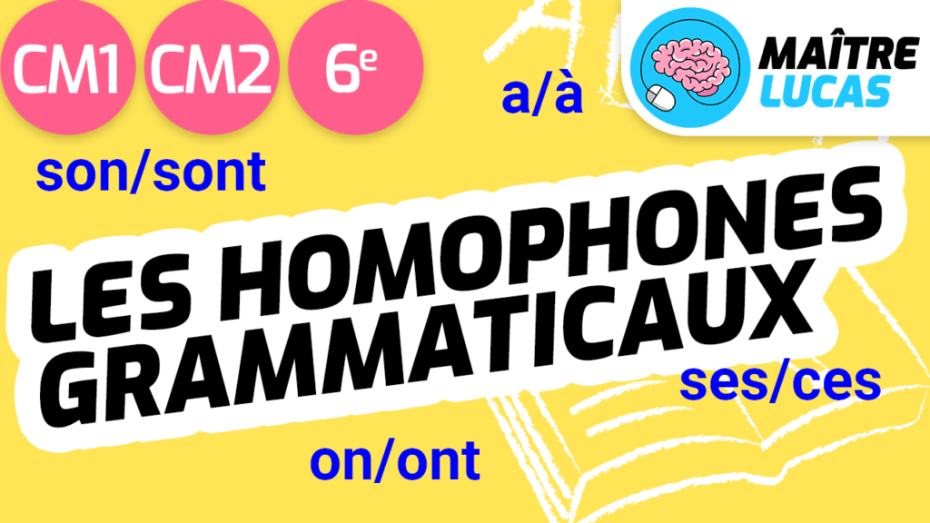 Exercices Homophones grammaticaux CM1 CM2 - Maître Lucas