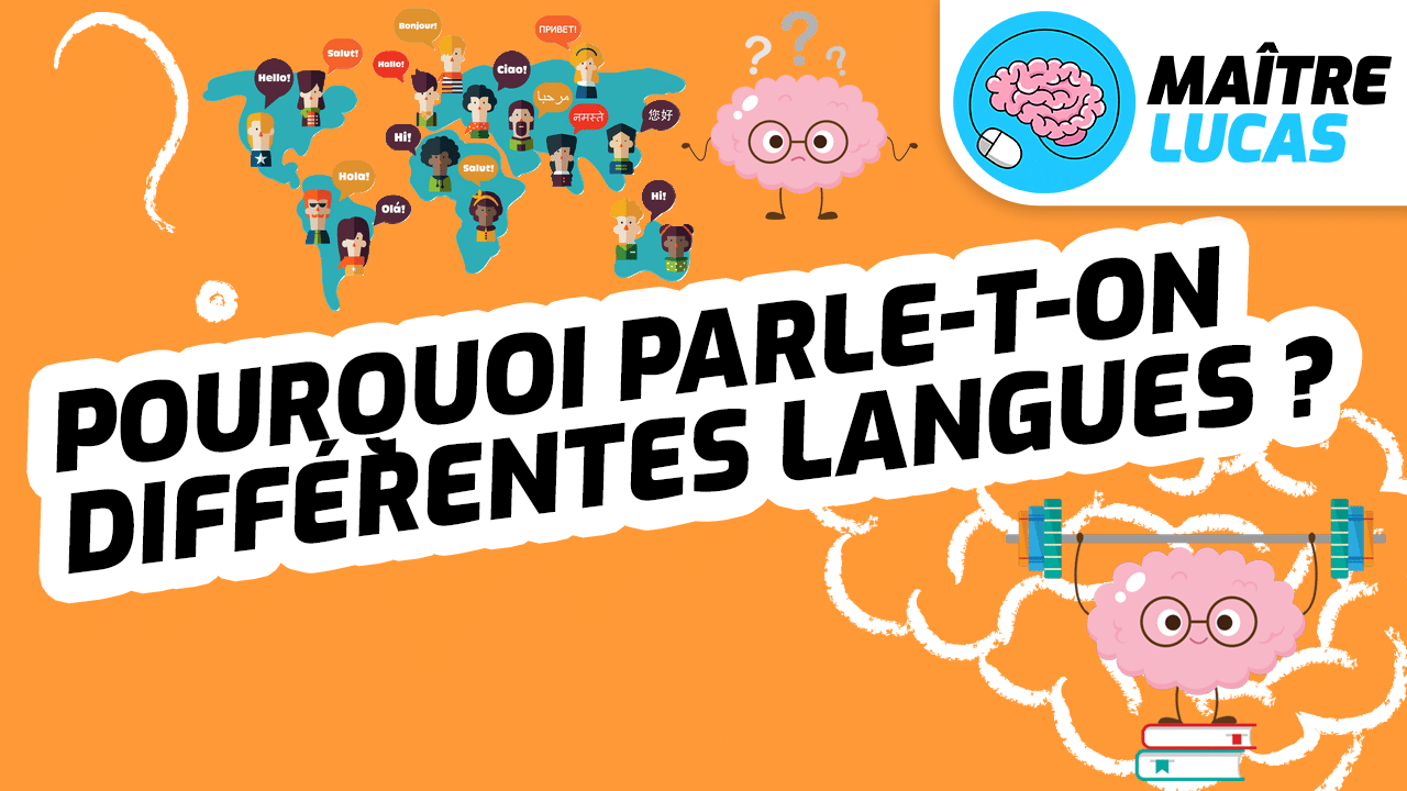 Muscle ton cerveau pourquoi parle-t-on différentes langues